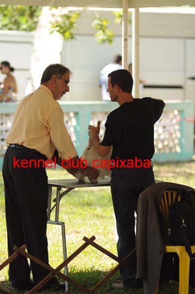 Clique sobre a foto para fechar